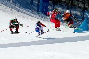 20180221 프리스타일 스키 남자 크로스015