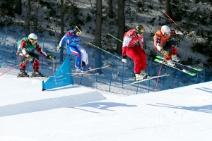20180221 프리스타일 스키 남자 크로스016